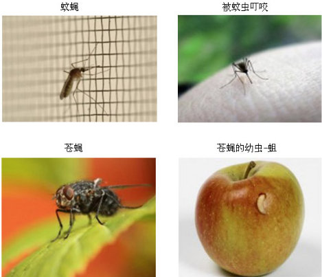 蟲害防治